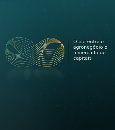 Nova identidade (1)
